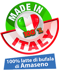 logo made italy2016
